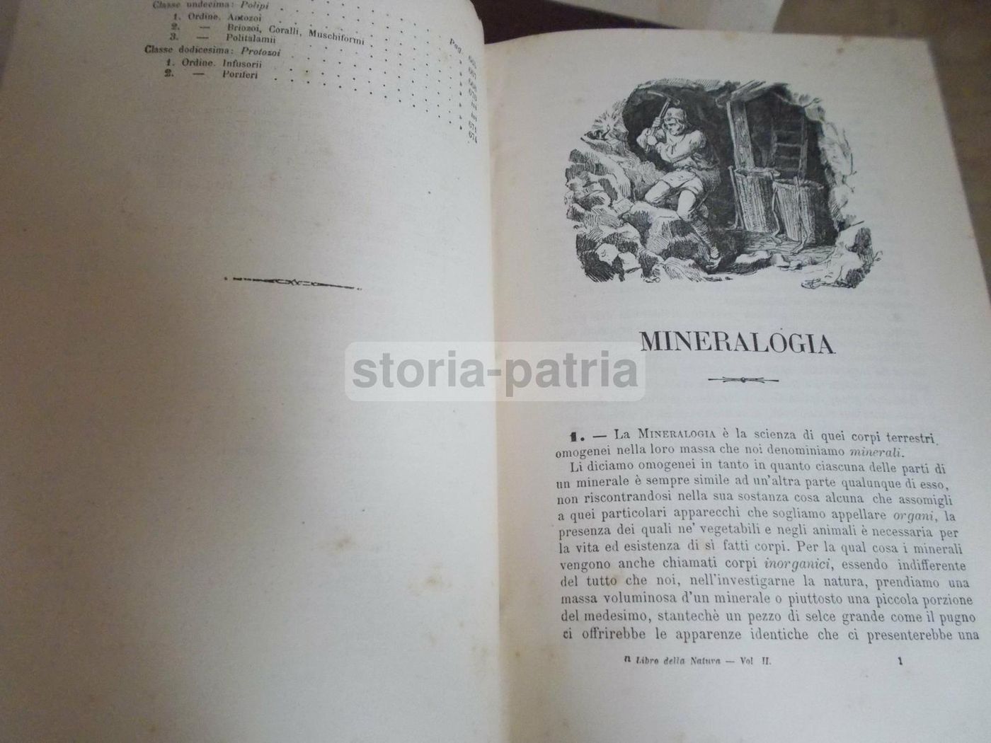 Il Libro Della Natura   Federico Schoedler (1880)