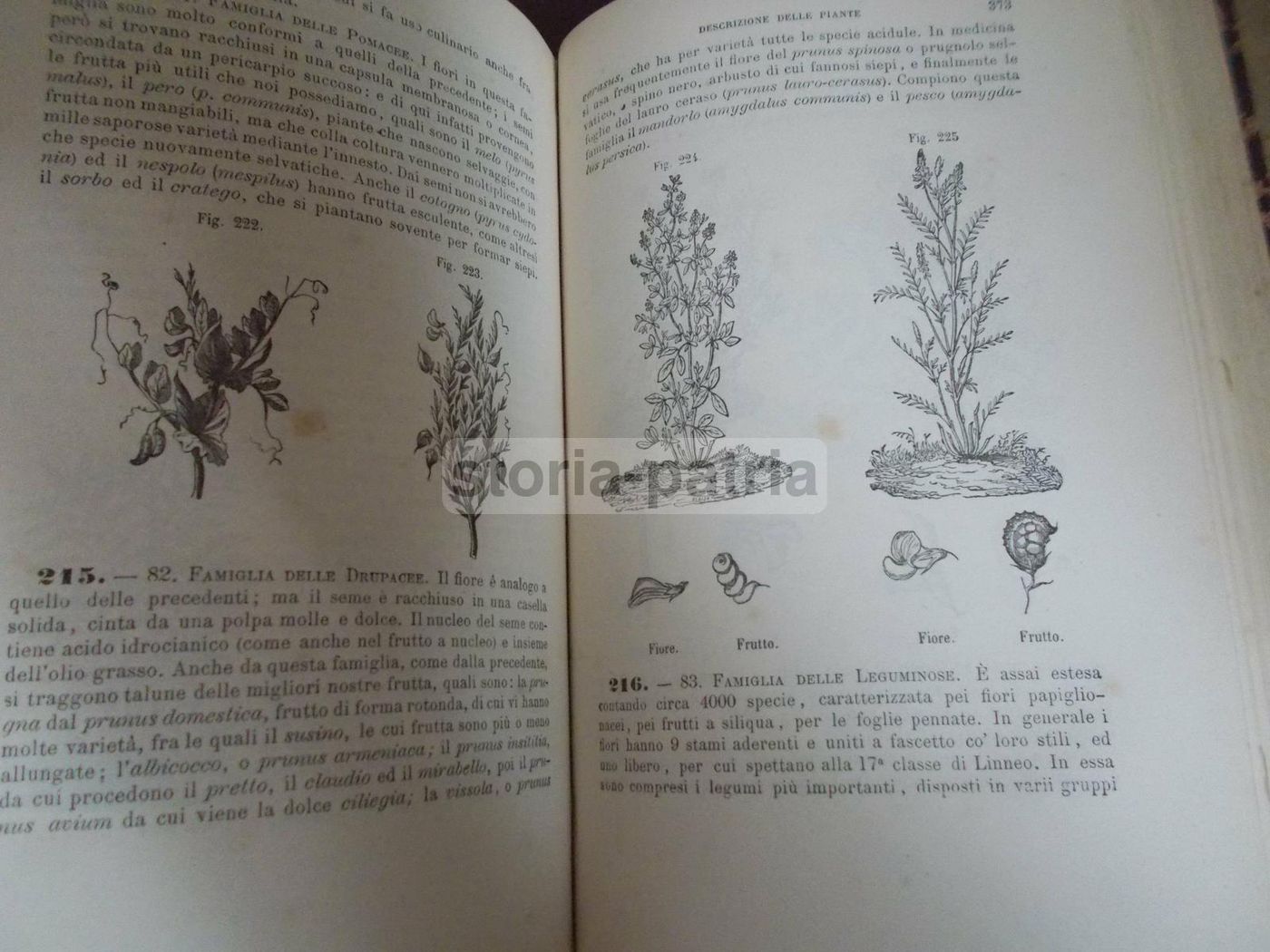Il Libro Della Natura   Federico Schoedler (1880)