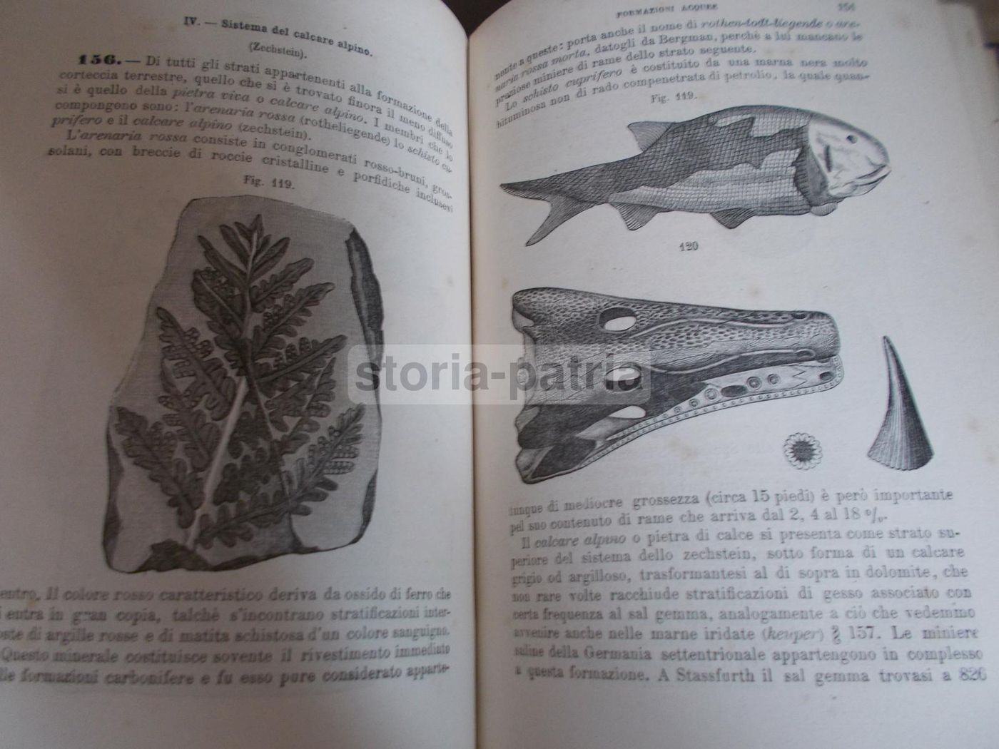 Il Libro Della Natura   Federico Schoedler (1880)