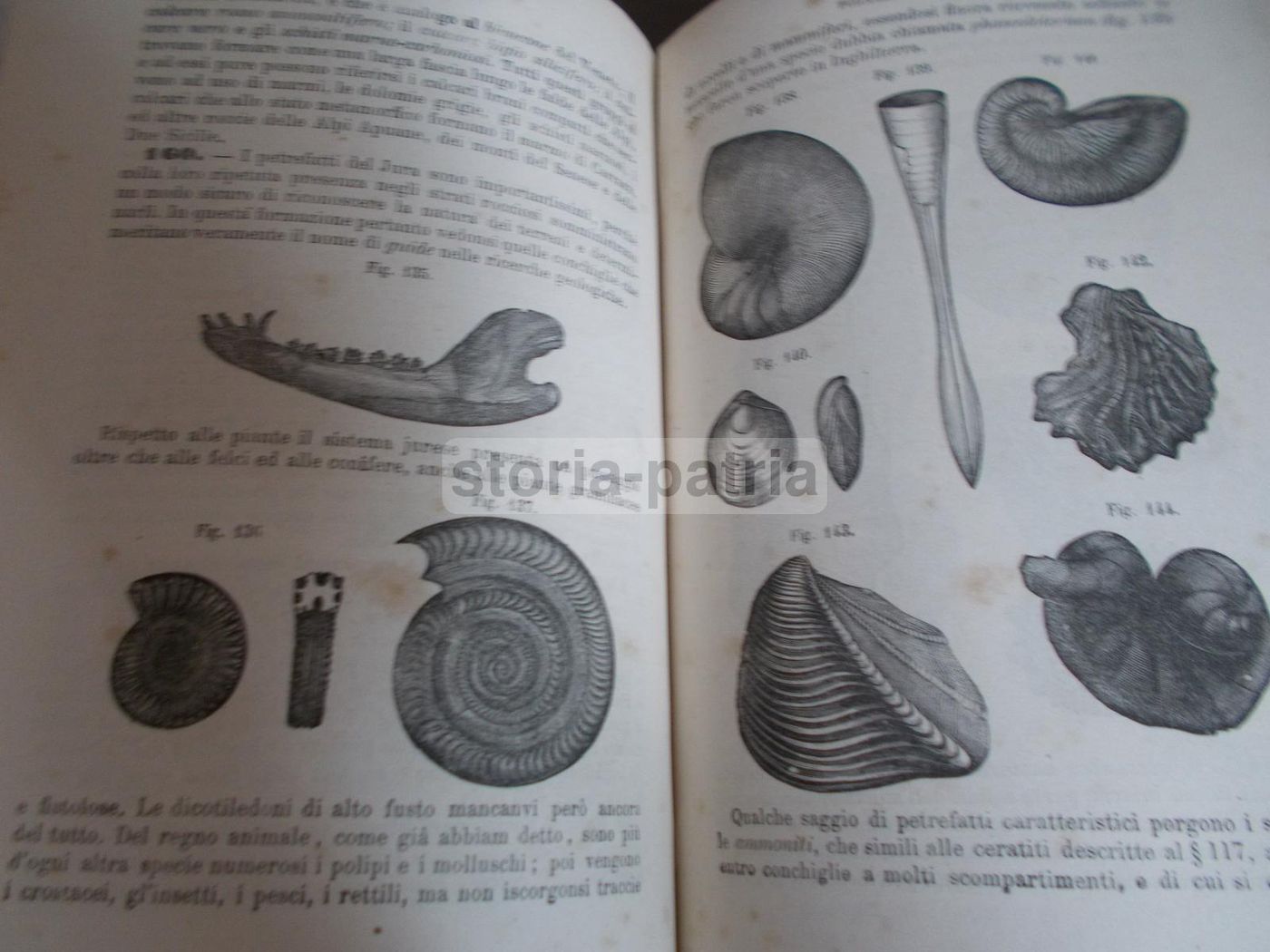 Il Libro Della Natura   Federico Schoedler (1880)