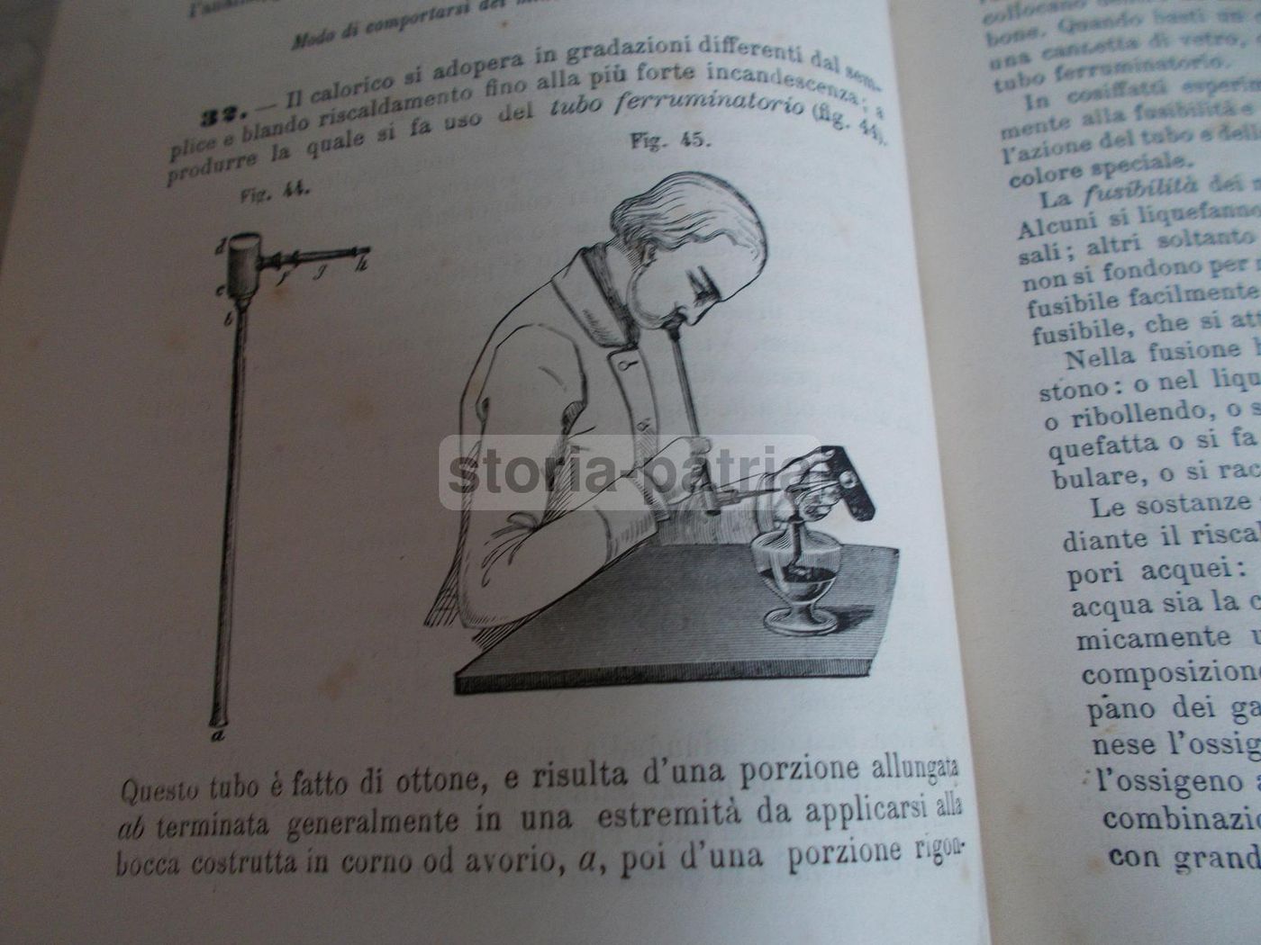 Il Libro Della Natura   Federico Schoedler (1880)