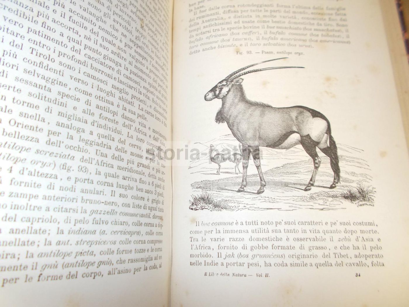 Il Libro Della Natura   Federico Schoedler (1880)