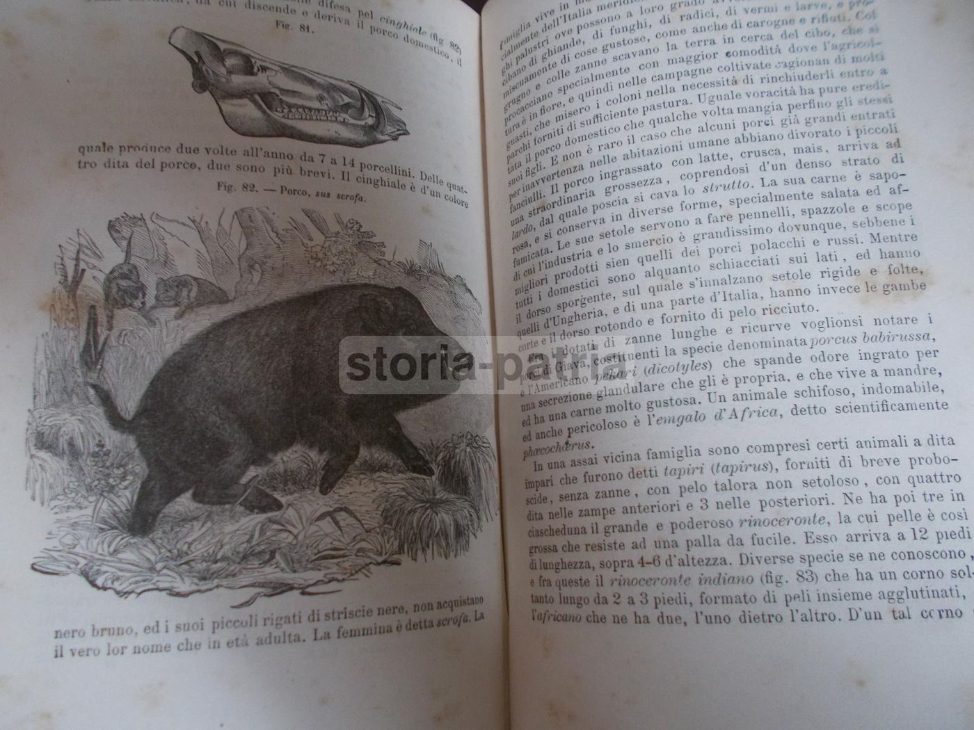 Il Libro Della Natura   Federico Schoedler (1880)