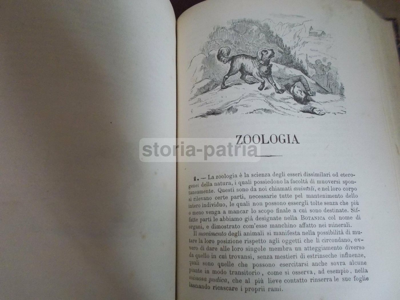 Il Libro Della Natura   Federico Schoedler (1880)