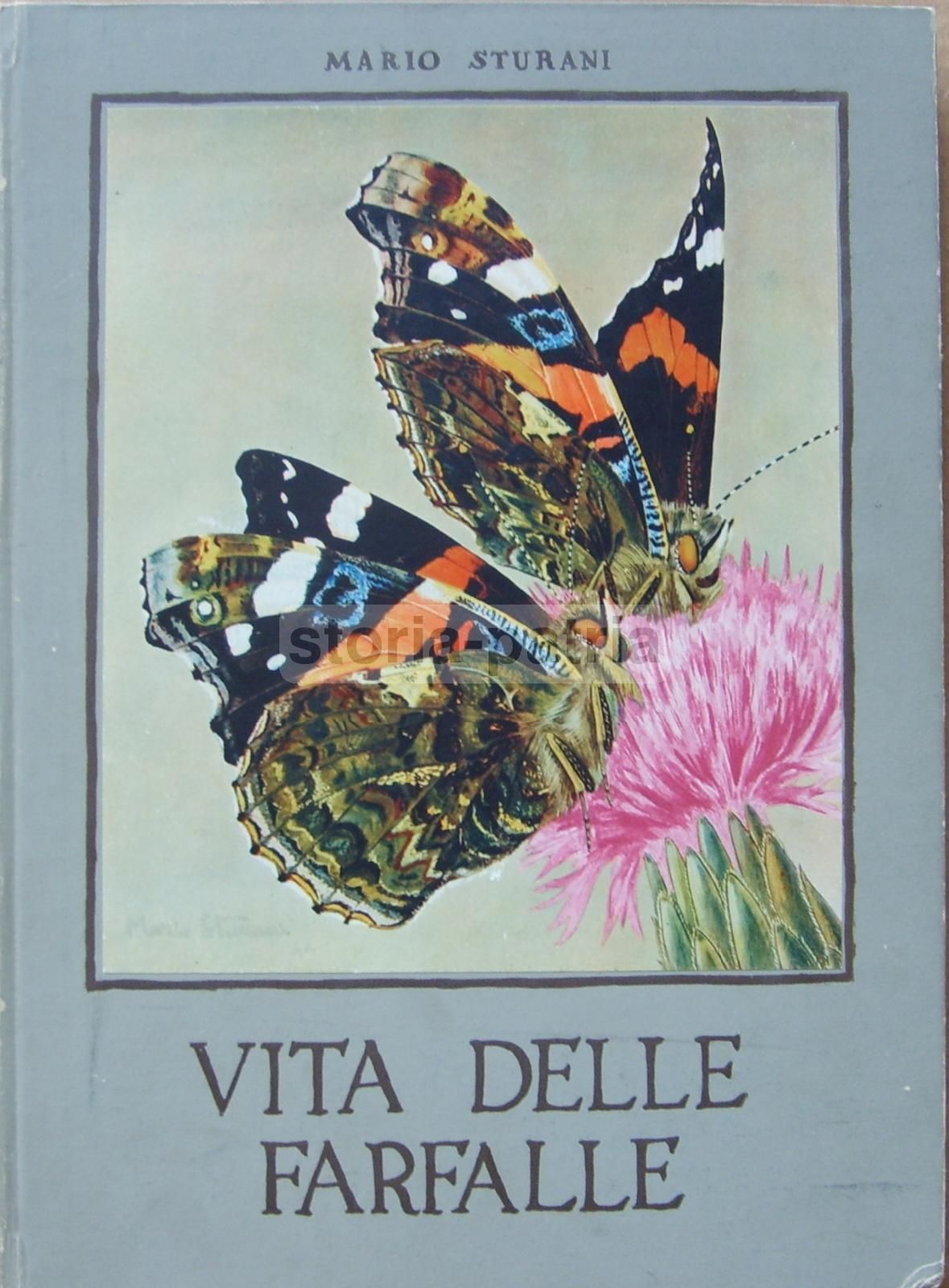 Vita Delle Farfalle Di Mario Sturani, De Silva 1947, Illustrato
