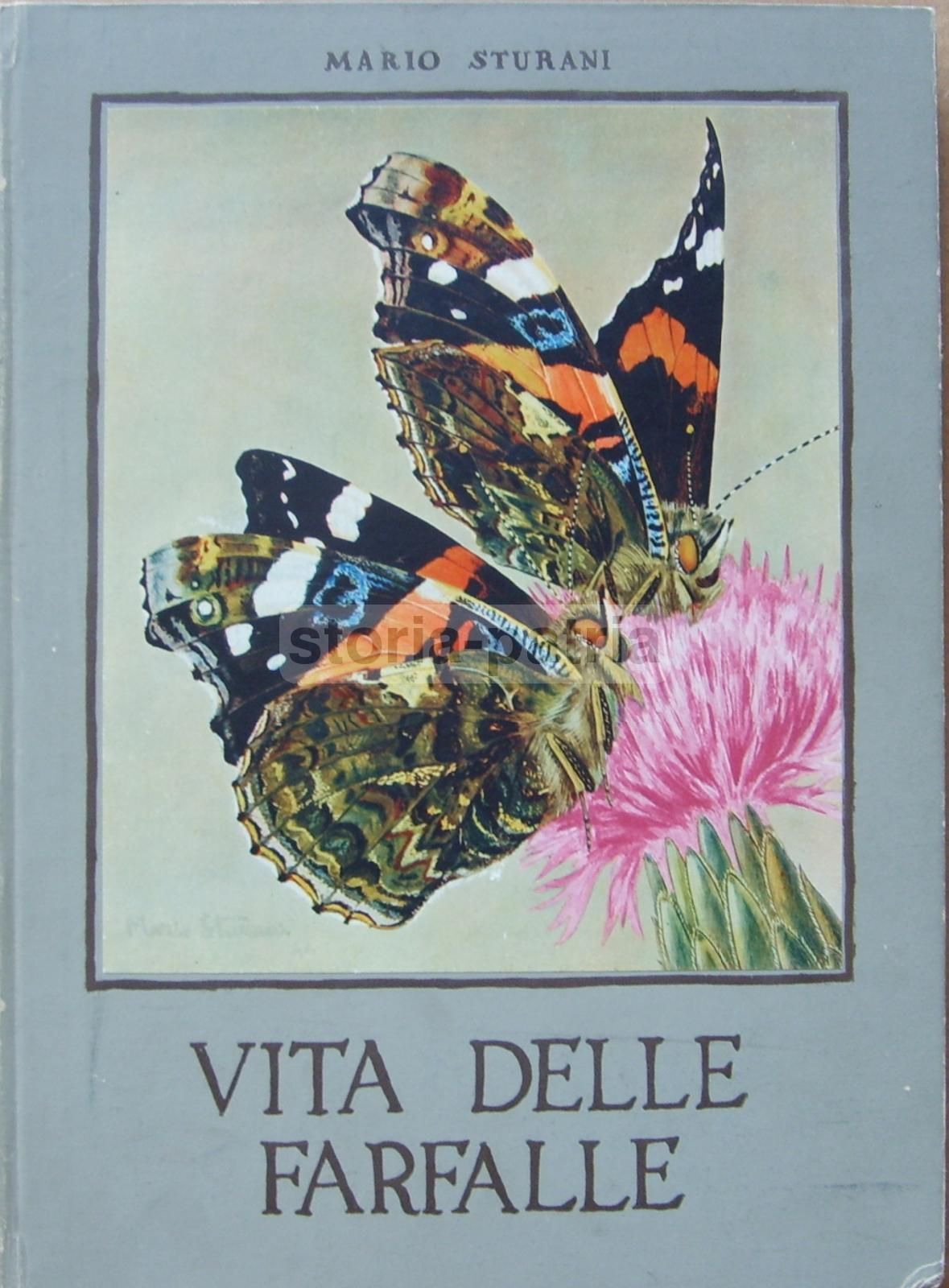Vita Delle Farfalle Di Mario Sturani, De Silva 1947, Illustrato