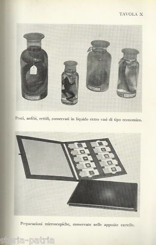 Il Naturalista: Guida Pratica Di Pietro Zangheri, Hoepli 1959