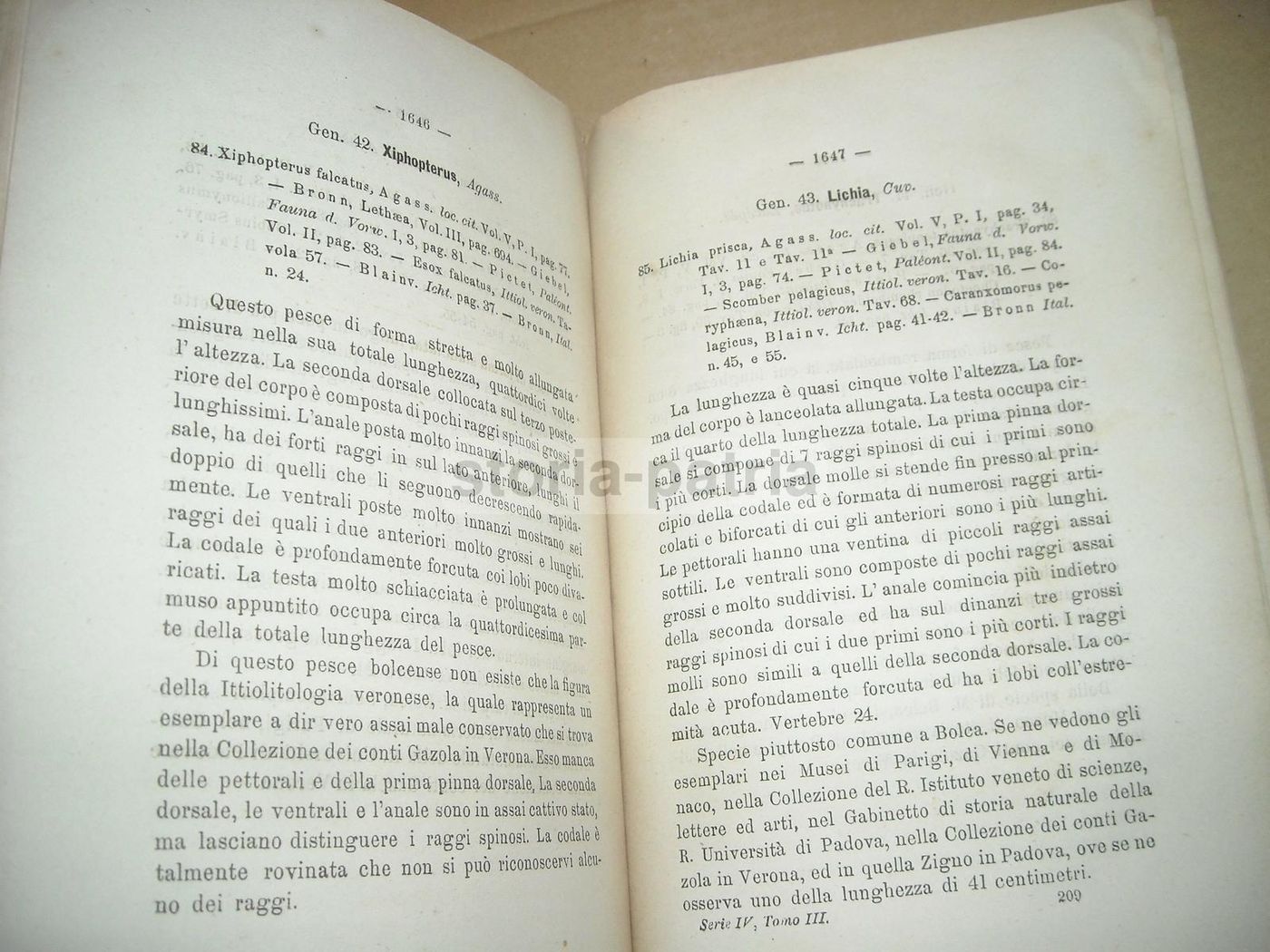 Atti Dell'Istituto Veneto 1873 74: Molluschi, Elettricità E Chimica