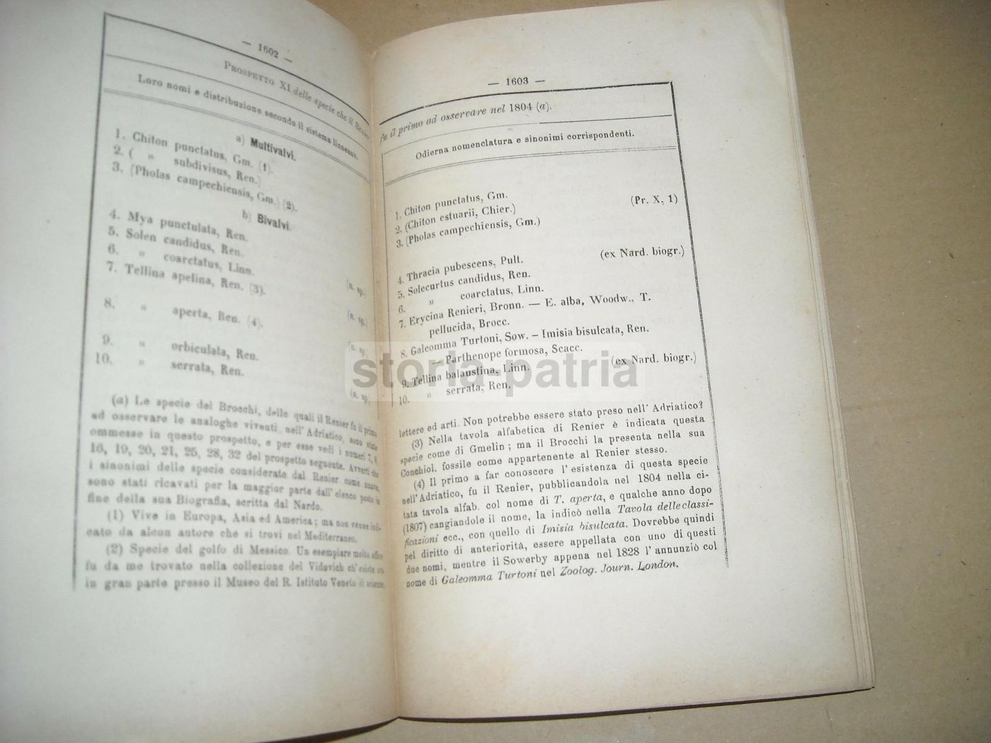 Atti Dell'Istituto Veneto 1873 74: Molluschi, Elettricità E Chimica