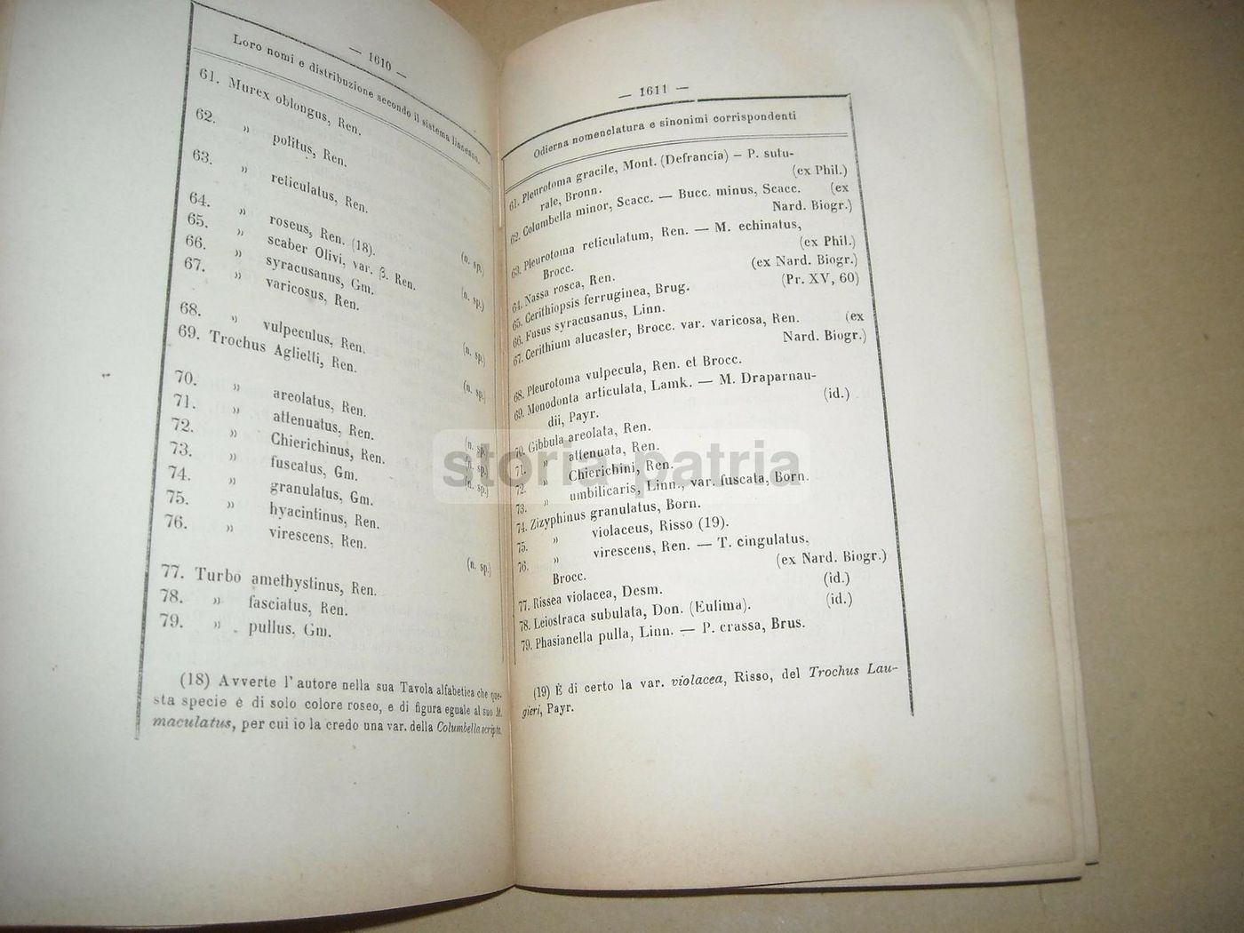 Atti Dell'Istituto Veneto 1873 74: Molluschi, Elettricità E Chimica