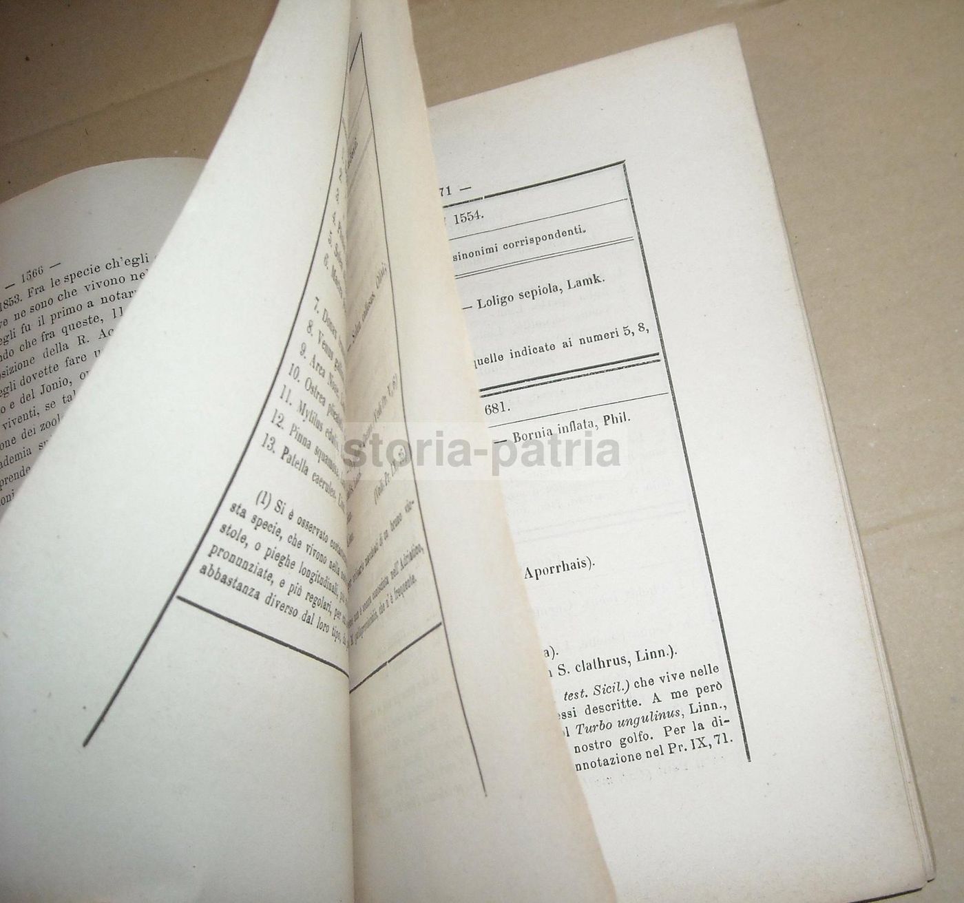 Atti Dell'Istituto Veneto 1873 74: Molluschi, Elettricità E Chimica