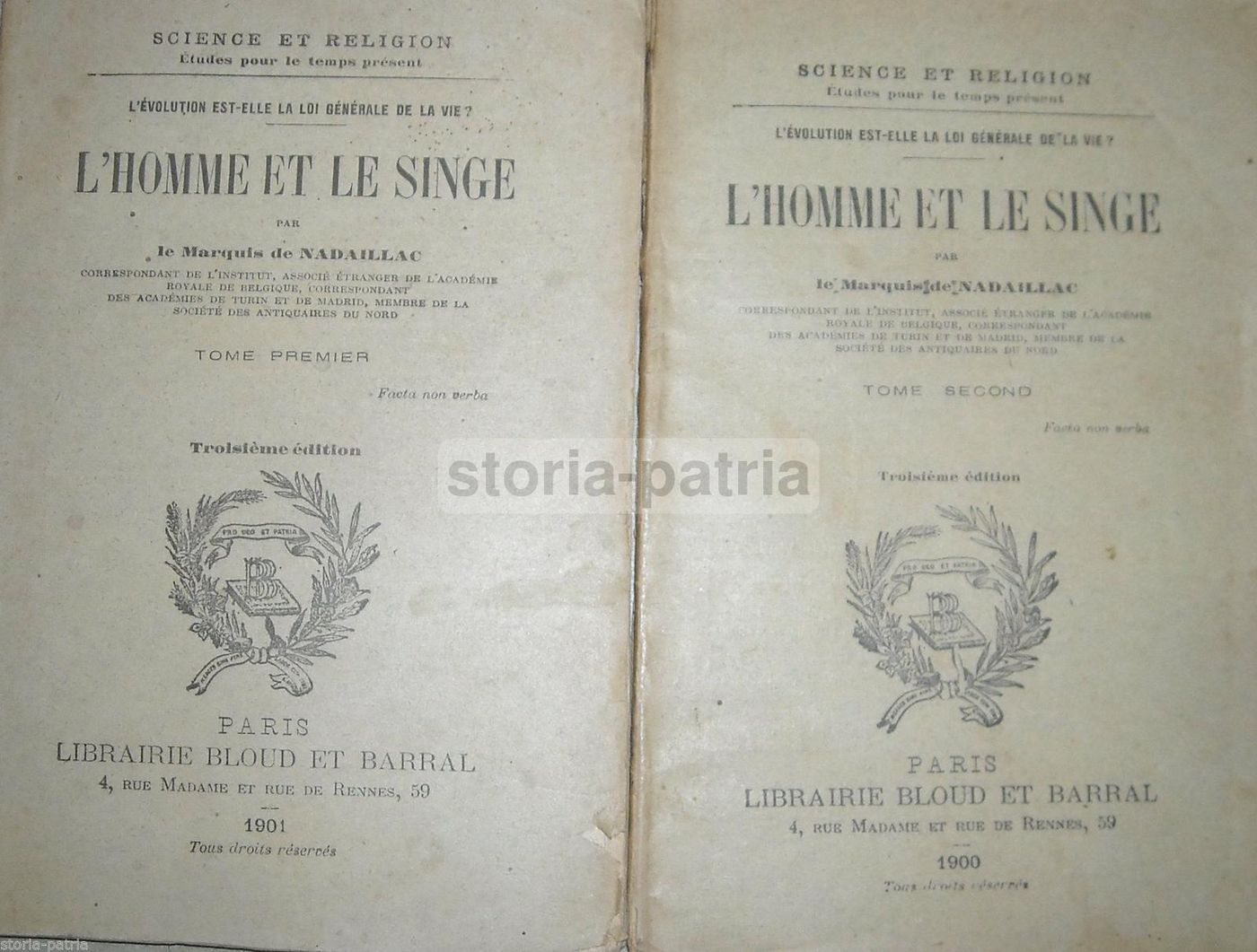L'Homme Et Le Singe Di Nadaillac 1901 Antropologia Evoluzione