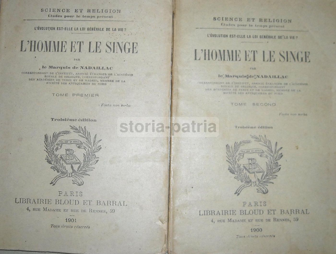 L'Homme Et Le Singe Di Nadaillac 1901 Antropologia Evoluzione