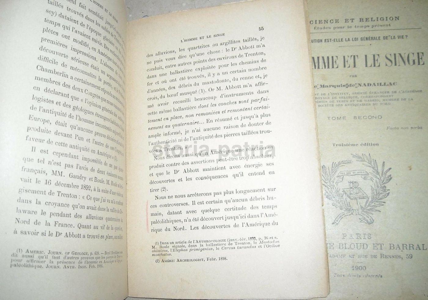 L'Homme Et Le Singe Di Nadaillac 1901 Antropologia Evoluzione