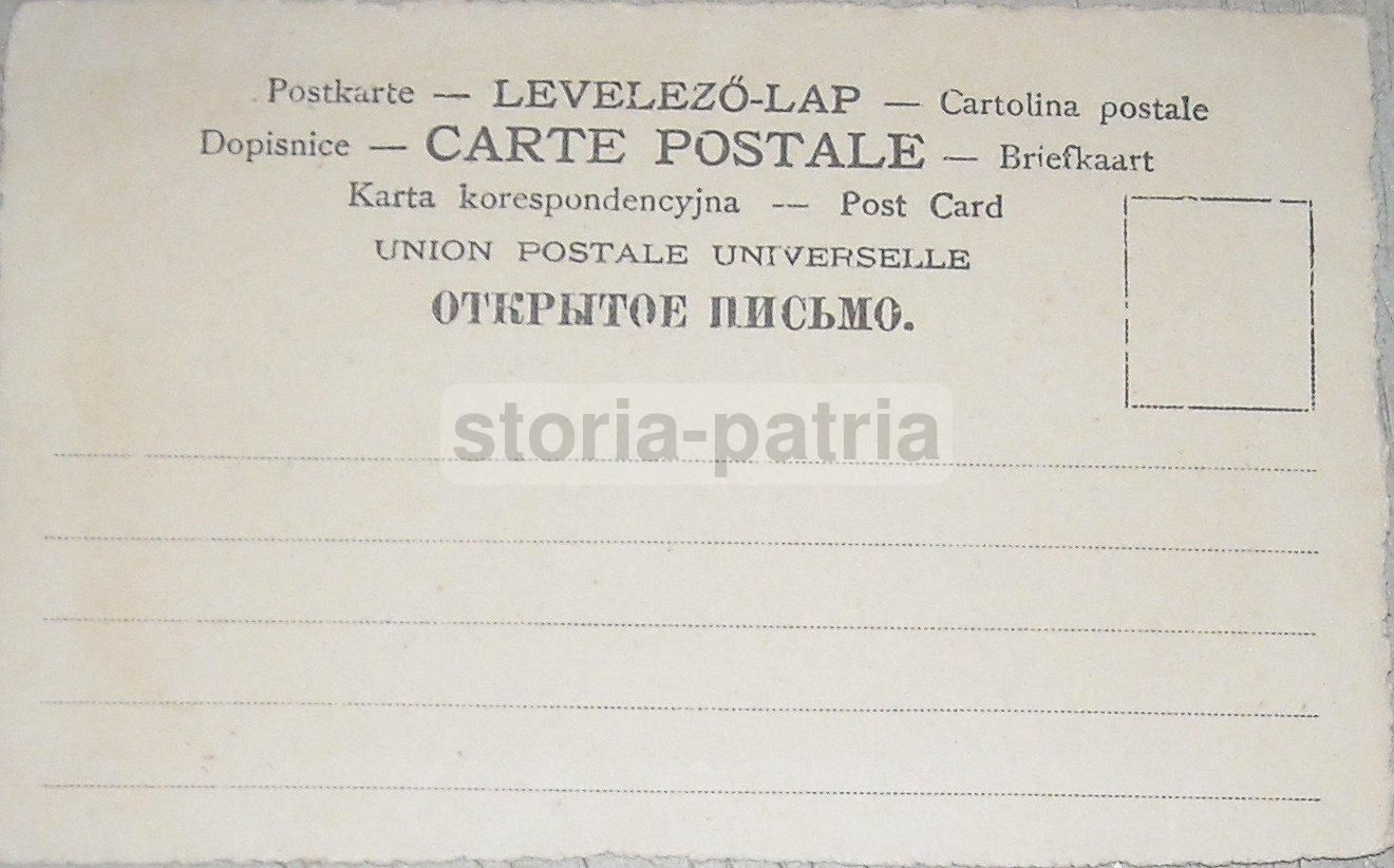 Cartolina Antica Incisione Uccello Su Ramo, Anni '20 Originale