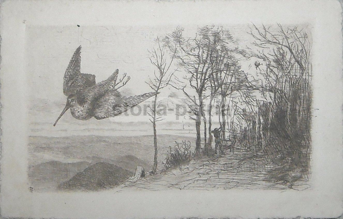 Cartolina Antica: Scena Di Caccia, Uccelli Acquatici, Anni '20