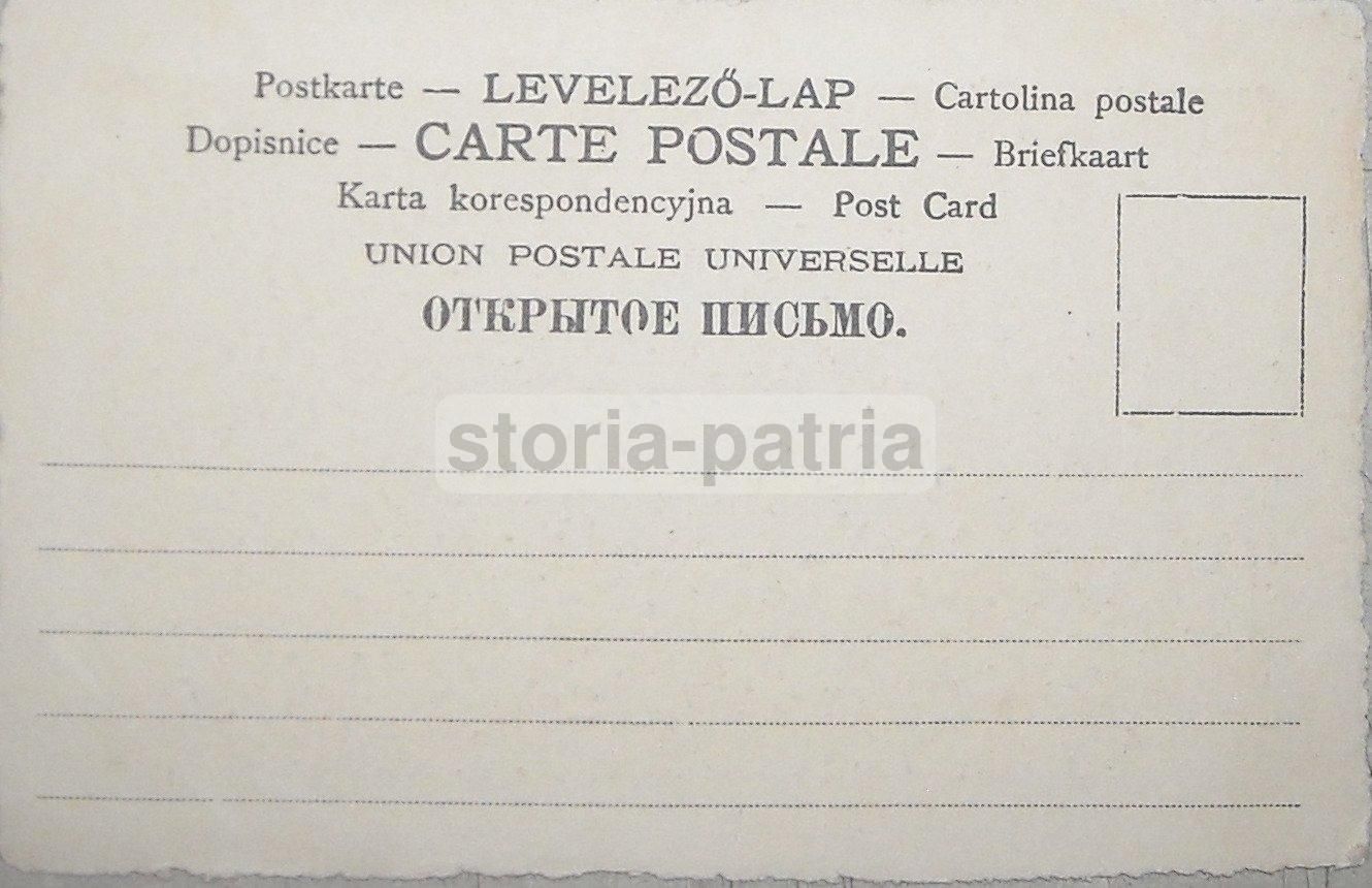 Cartolina Antica: Scena Di Caccia, Uccelli Acquatici, Anni '20