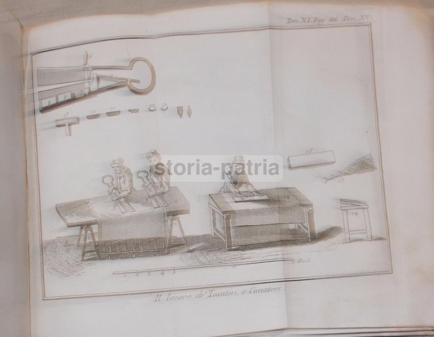 Storia Naturale, Venezia, 1786: Arti E Mestieri, Tappezzeria, Cucina