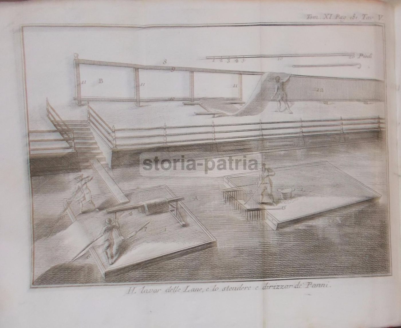 Storia Naturale, Venezia, 1786: Arti E Mestieri, Tappezzeria, Cucina