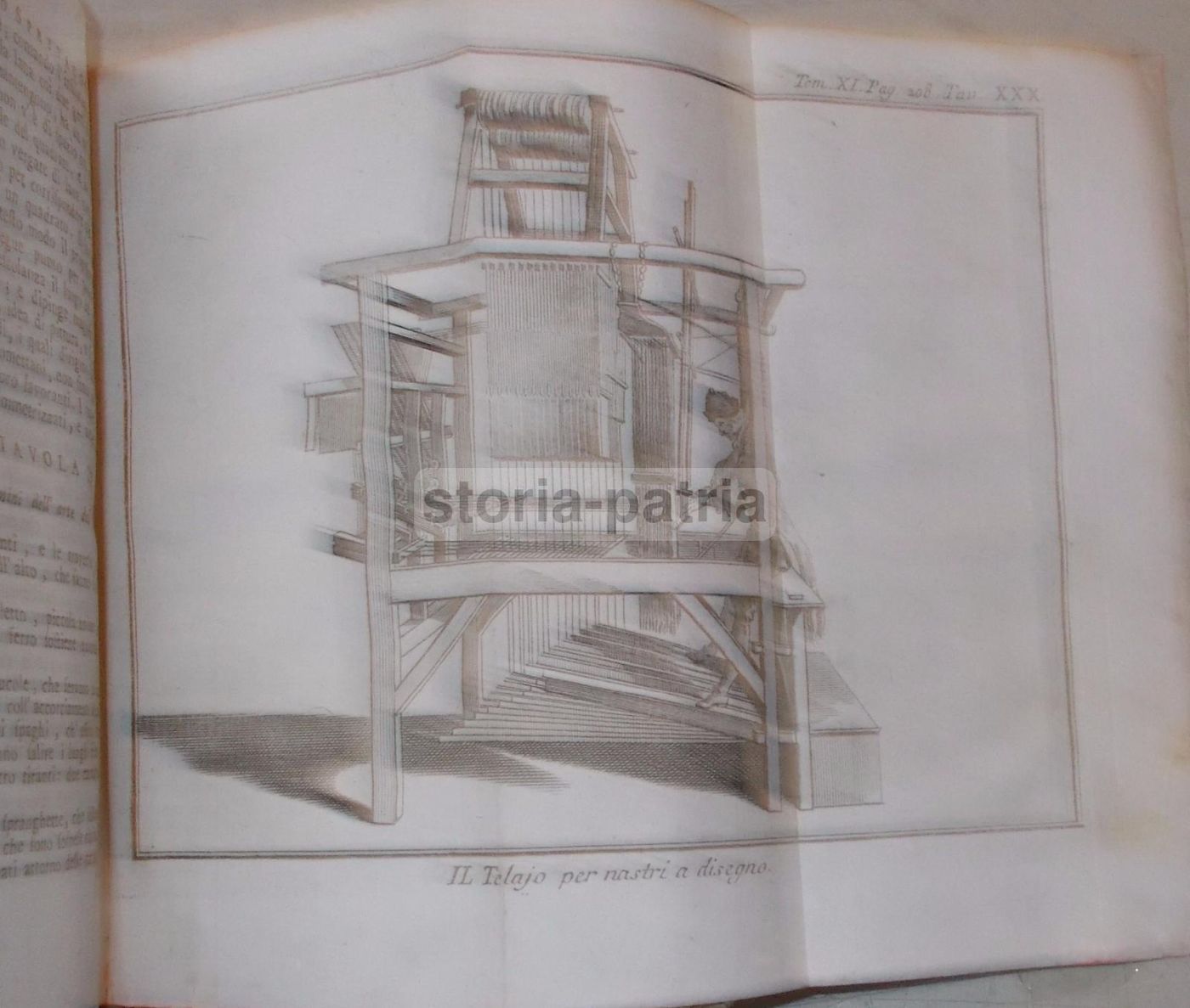 Storia Naturale, Venezia, 1786: Arti E Mestieri, Tappezzeria, Cucina