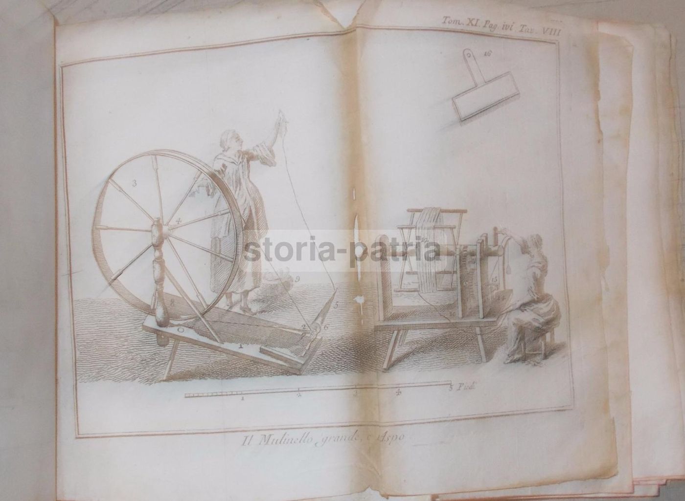 Storia Naturale, Venezia, 1786: Arti E Mestieri, Tappezzeria, Cucina