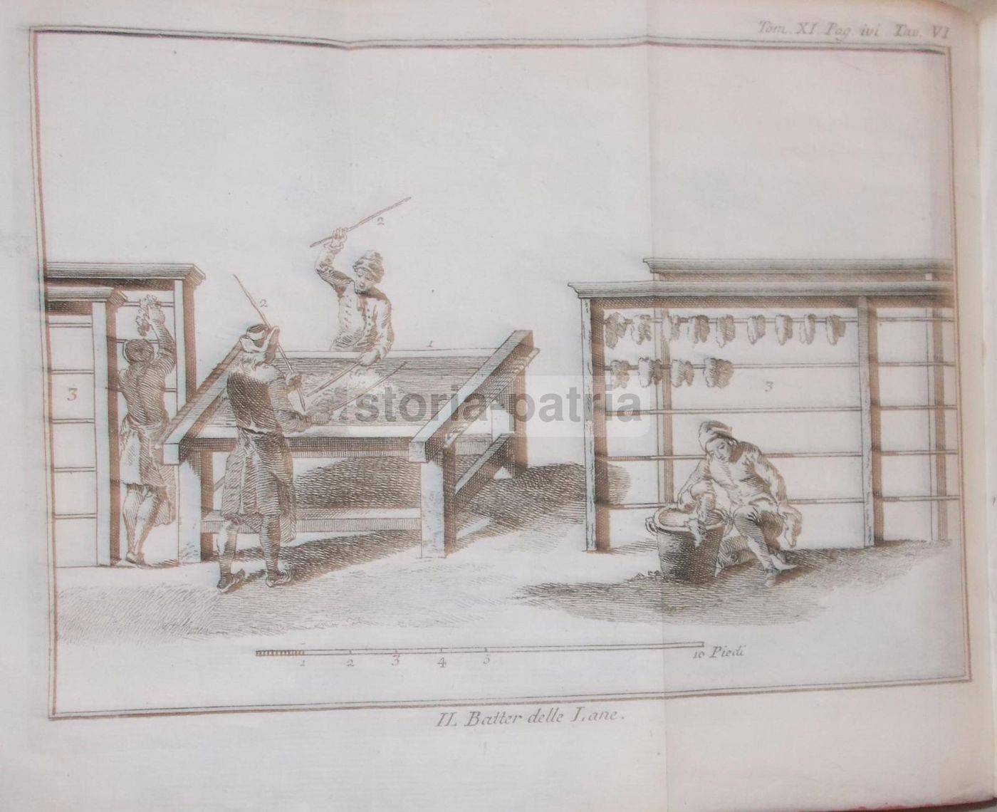 Storia Naturale, Venezia, 1786: Arti E Mestieri, Tappezzeria, Cucina