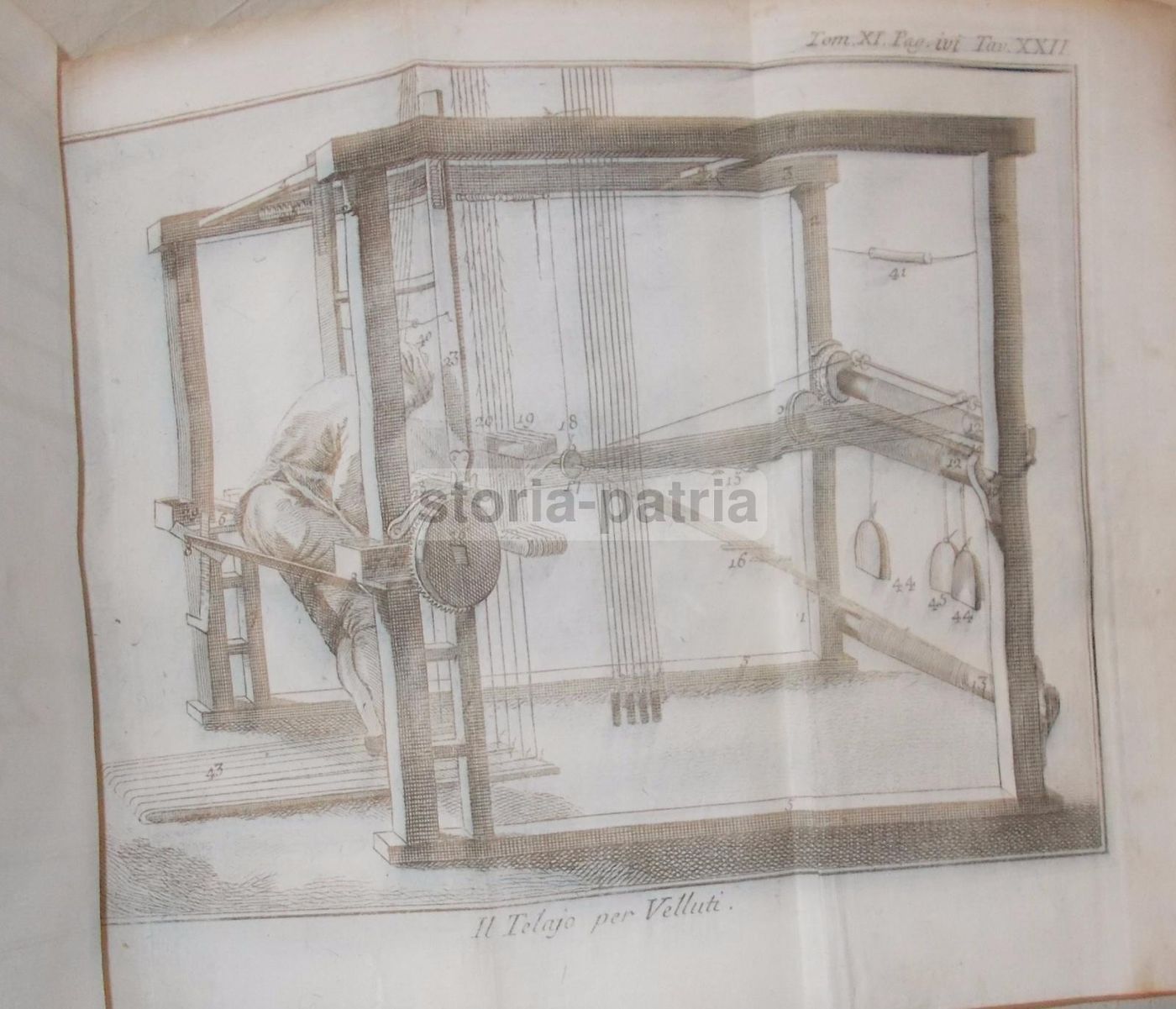 Storia Naturale, Venezia, 1786: Arti E Mestieri, Tappezzeria, Cucina