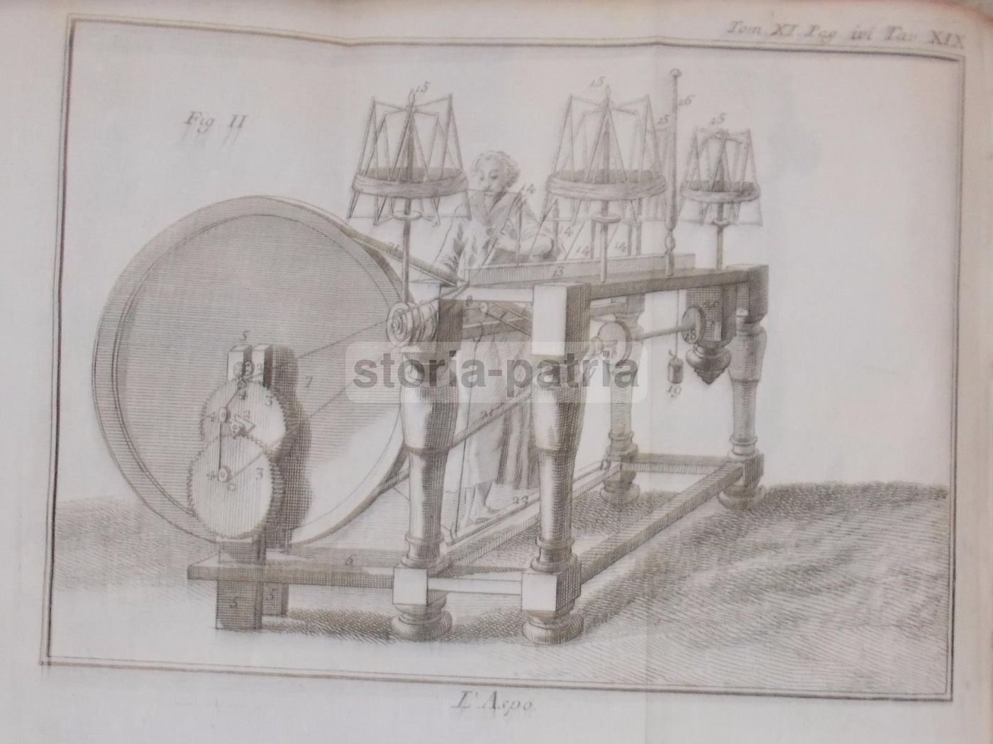 Storia Naturale, Venezia, 1786: Arti E Mestieri, Tappezzeria, Cucina