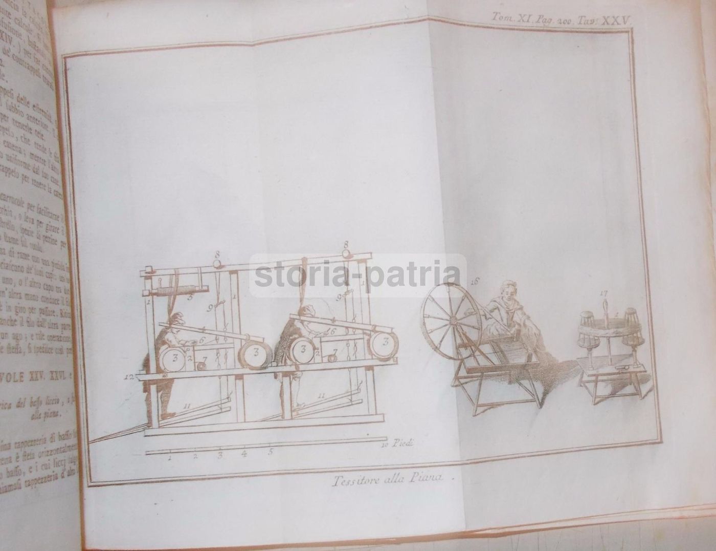 Storia Naturale, Venezia, 1786: Arti E Mestieri, Tappezzeria, Cucina