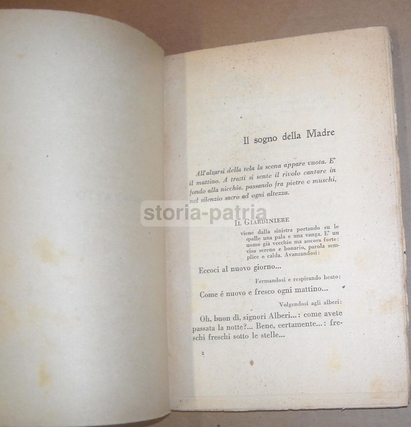 La Follia Di Adamo Di Giuseppe Maria Pellicano, 1929 Prima Edizione