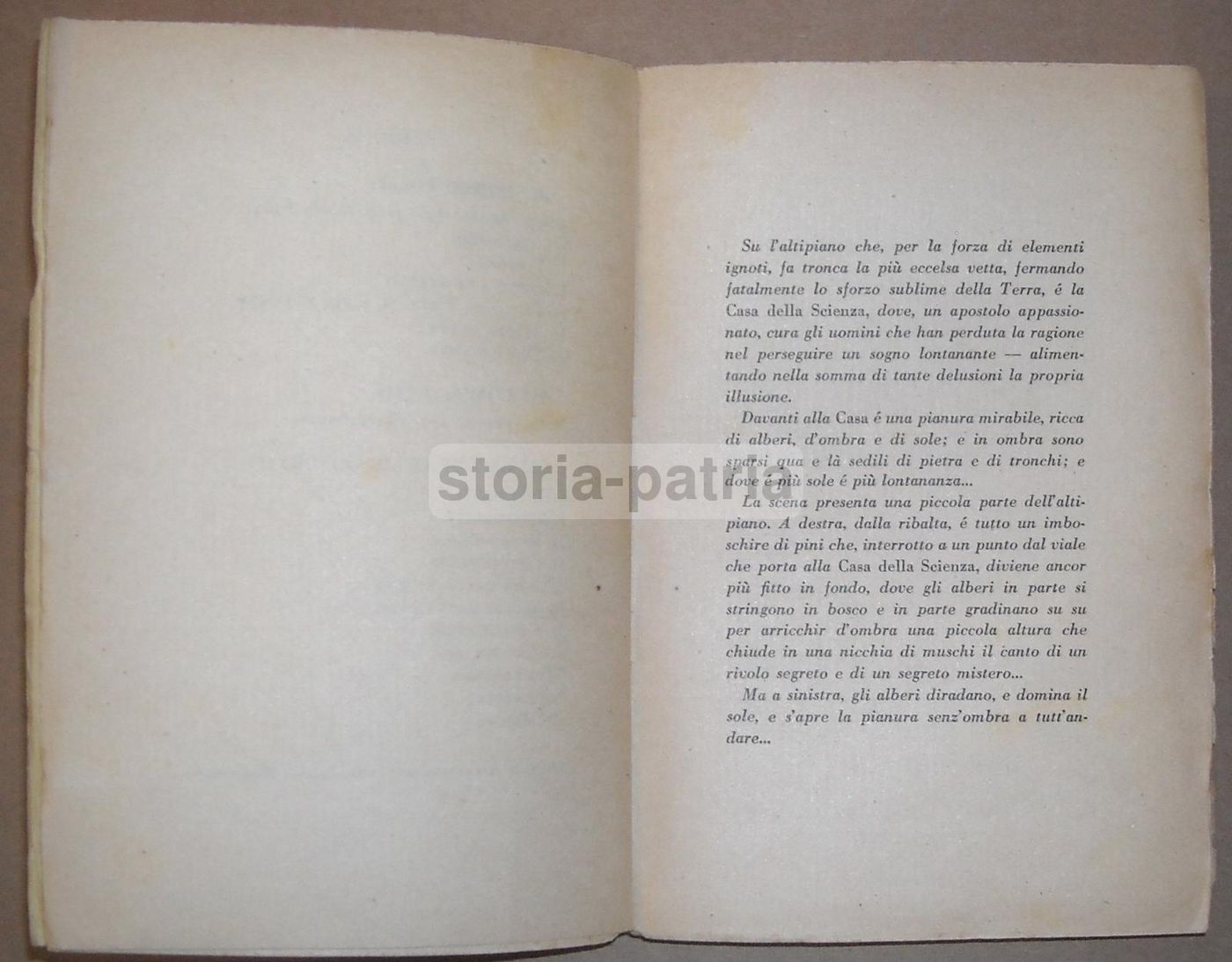 La Follia Di Adamo Di Giuseppe Maria Pellicano, 1929 Prima Edizione