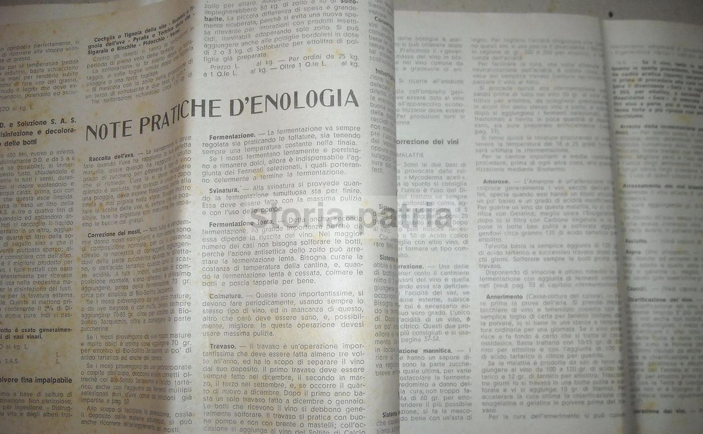 Catalogo Bellavita Pompe E Filtri Enologia Milano Anni '30