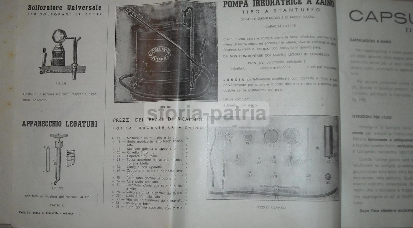 Catalogo Bellavita Pompe E Filtri Enologia Milano Anni '30