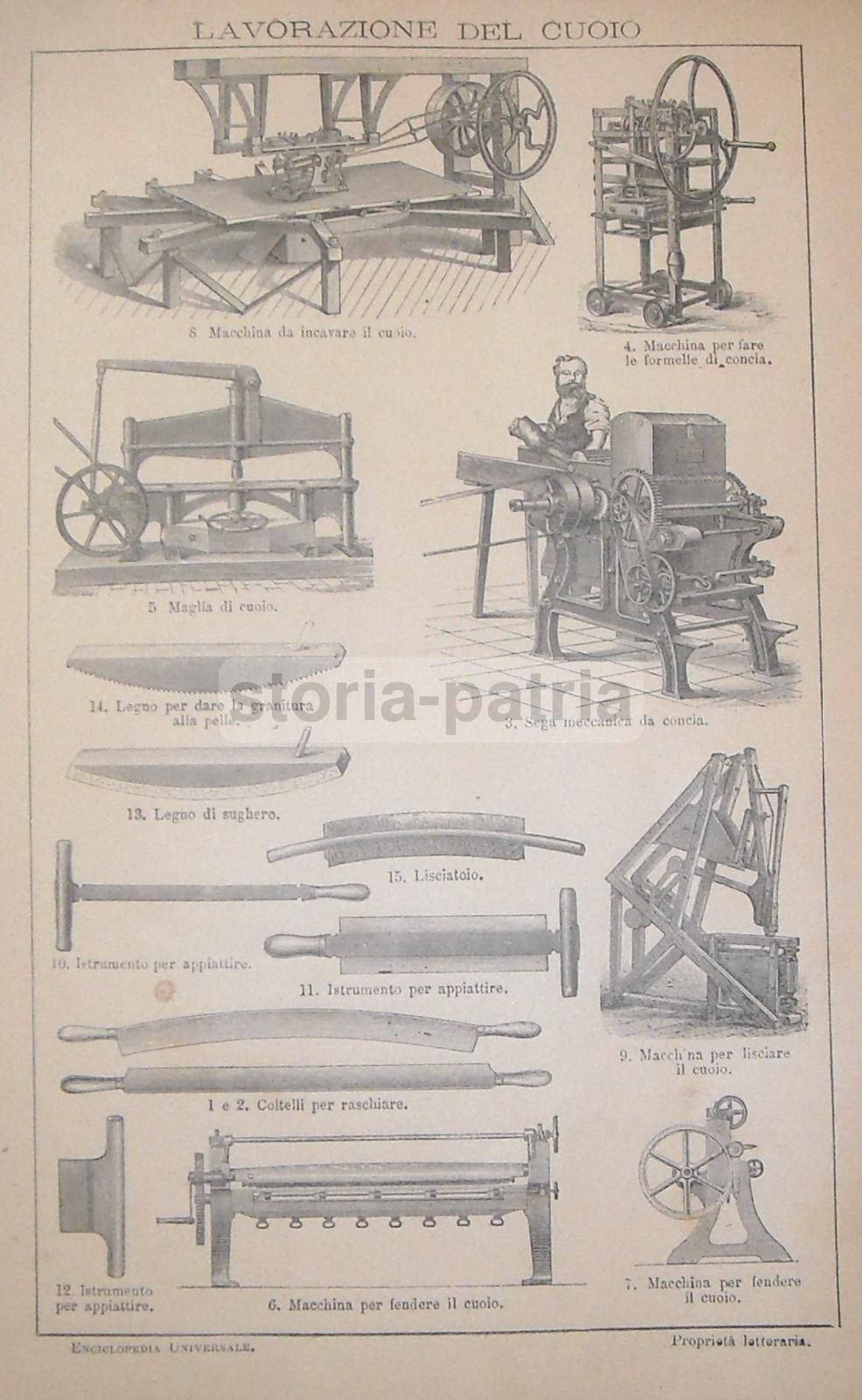Stampa Antica Strumenti Lavorazione Cuoio, Anni '20, Tavola Tecnica