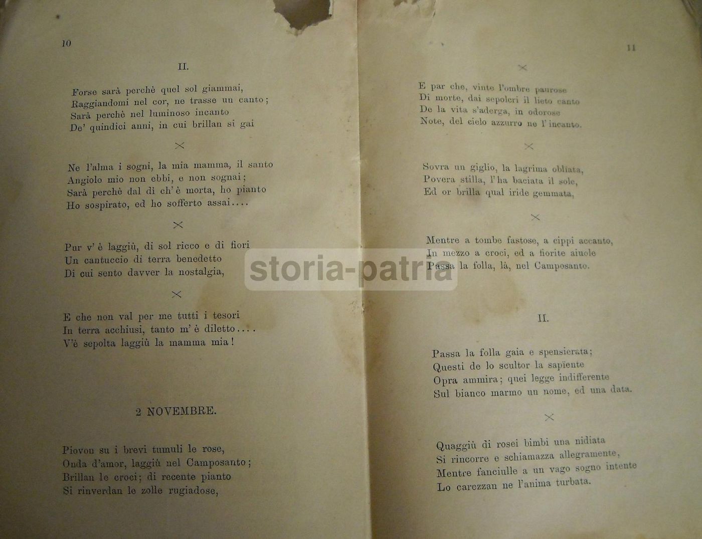 Rosmunda Tomei, Parva. Città Di Castello, Lapi, 1887