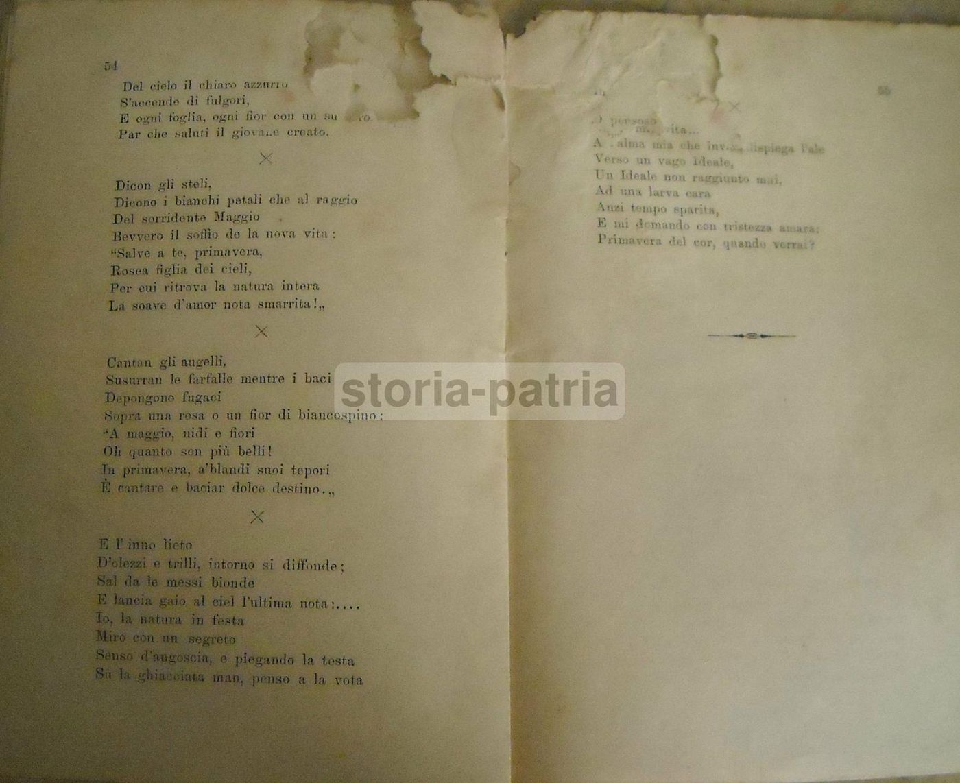 Rosmunda Tomei, Parva. Città Di Castello, Lapi, 1887