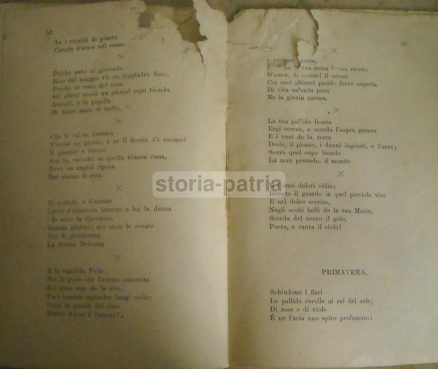 Rosmunda Tomei, Parva. Città Di Castello, Lapi, 1887