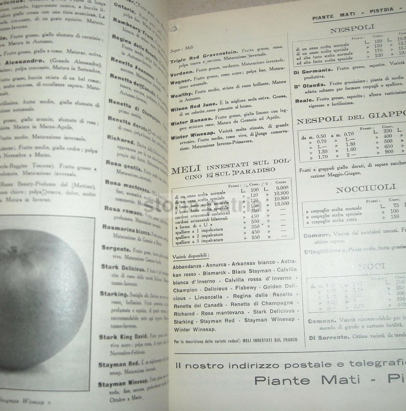 Catalogo Vivai Piante Mati Pistoia 1951 1952