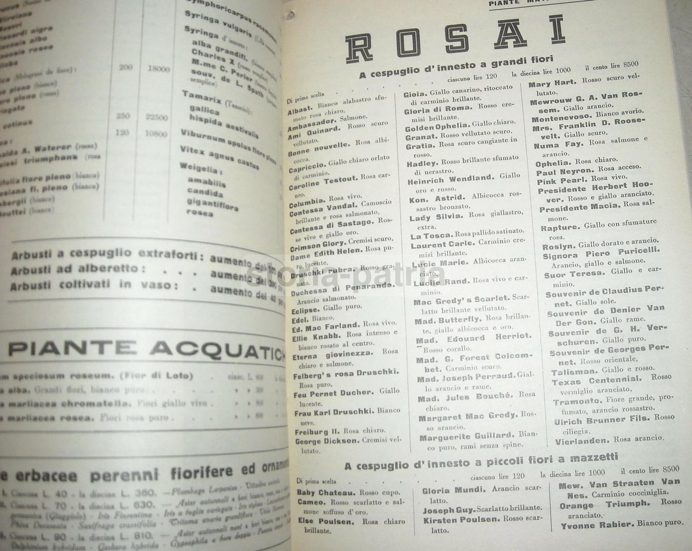 Catalogo Vivai Piante Mati Pistoia 1951 1952