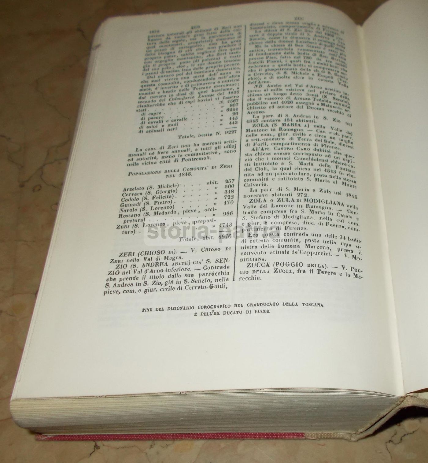 Dizionario Corografico Della Toscana, Repetti (Ristampa Anastatica 1977 Dell'Edizione 1855)