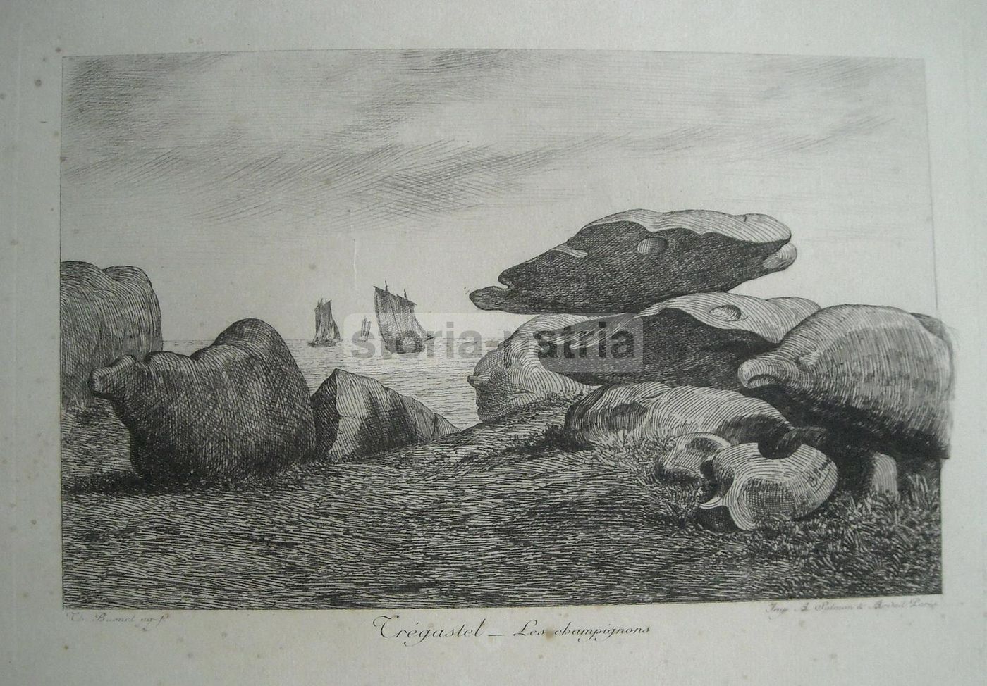 Incisione Antica Tregastel: Les Champignons, Busnel, Fine '800
