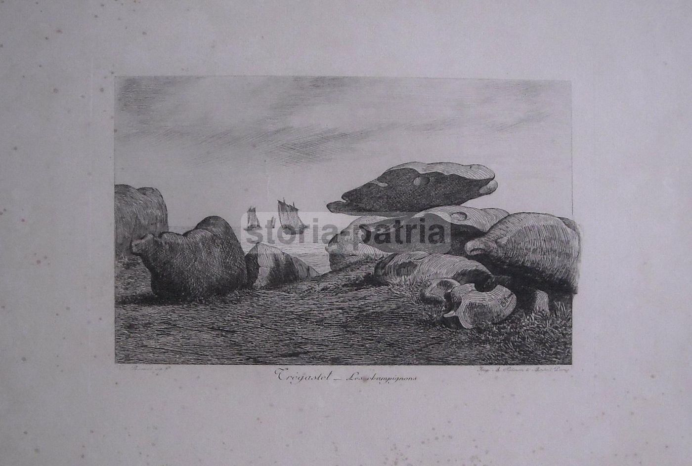 Incisione Antica Tregastel: Les Champignons, Busnel, Fine '800