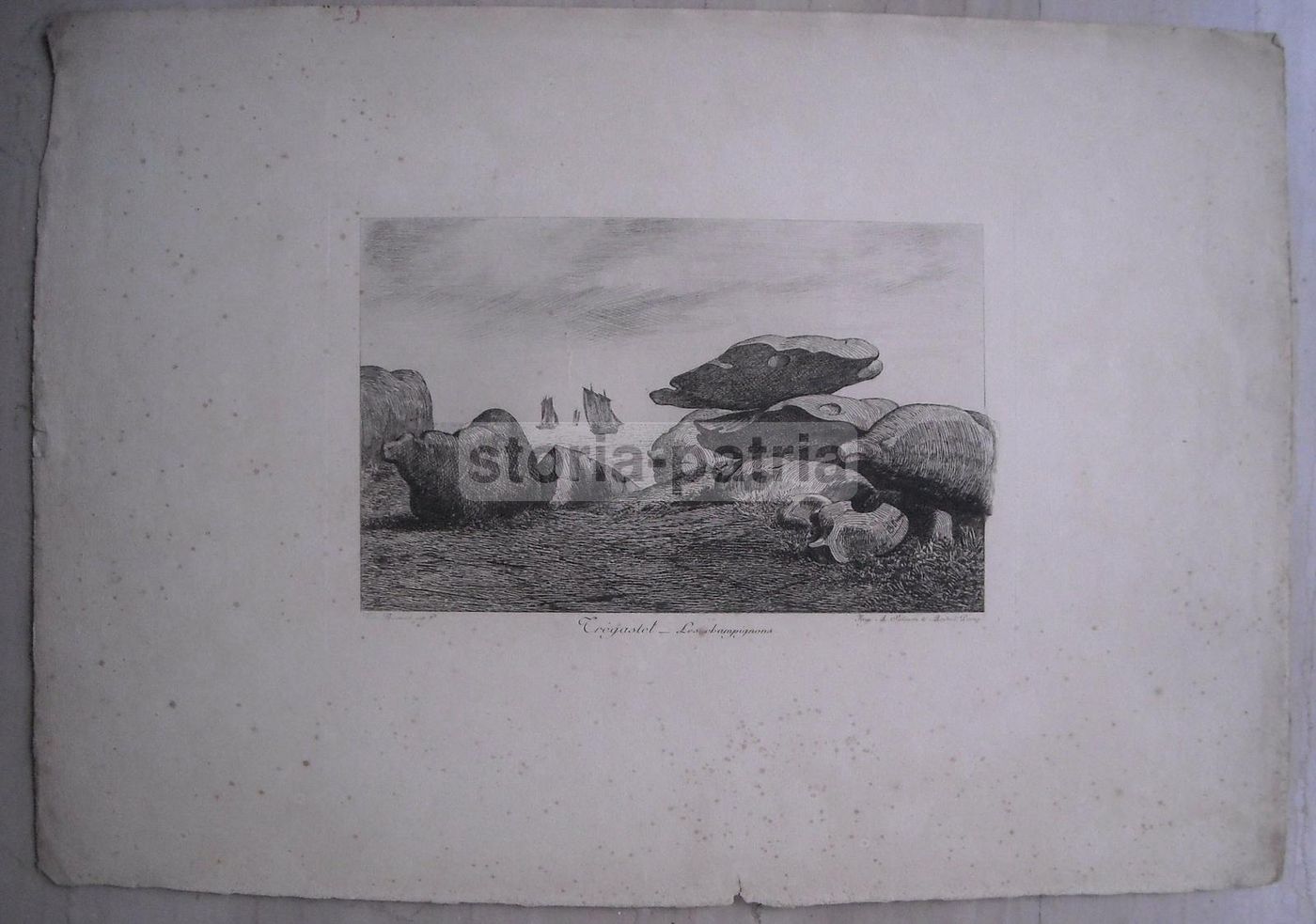 Incisione Antica Tregastel: Les Champignons, Busnel, Fine '800
