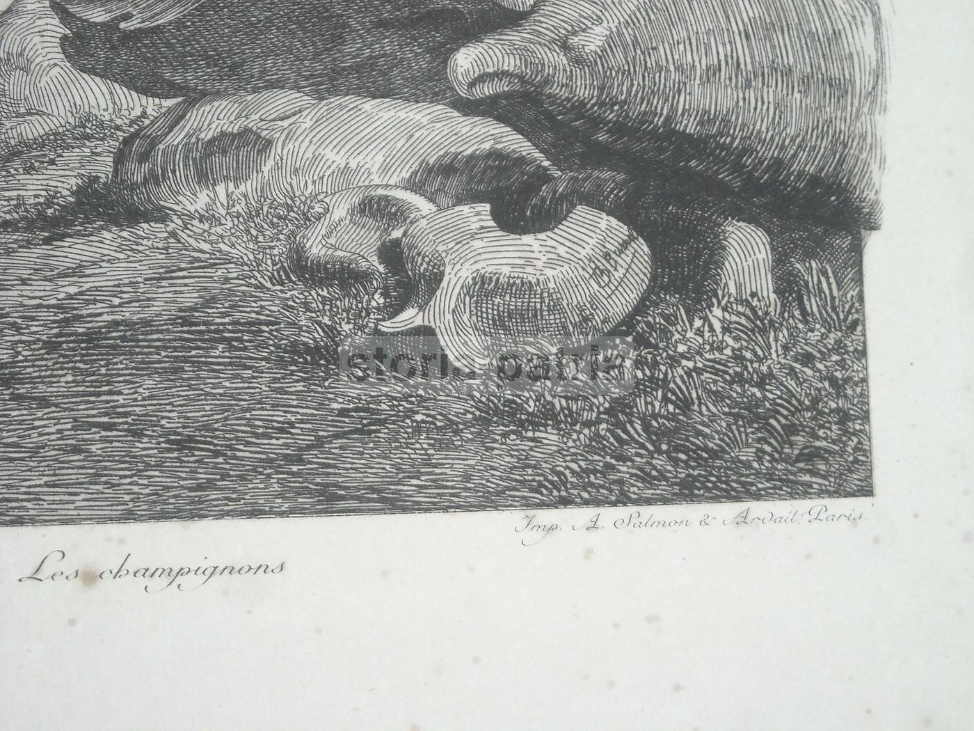 Tregastel: La Grève De Coz Porz. Acquaforte Antica Di Th. Busnel, Fine '800