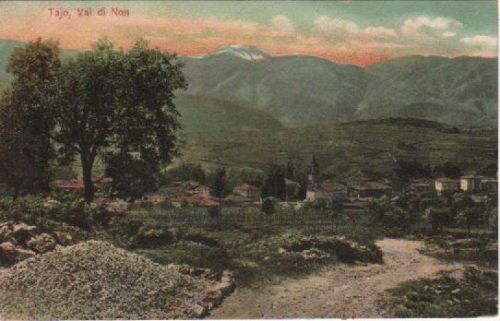 Cartolina Antica Taio, Val Di Non, Trentino: Panorama Del Primo '900
