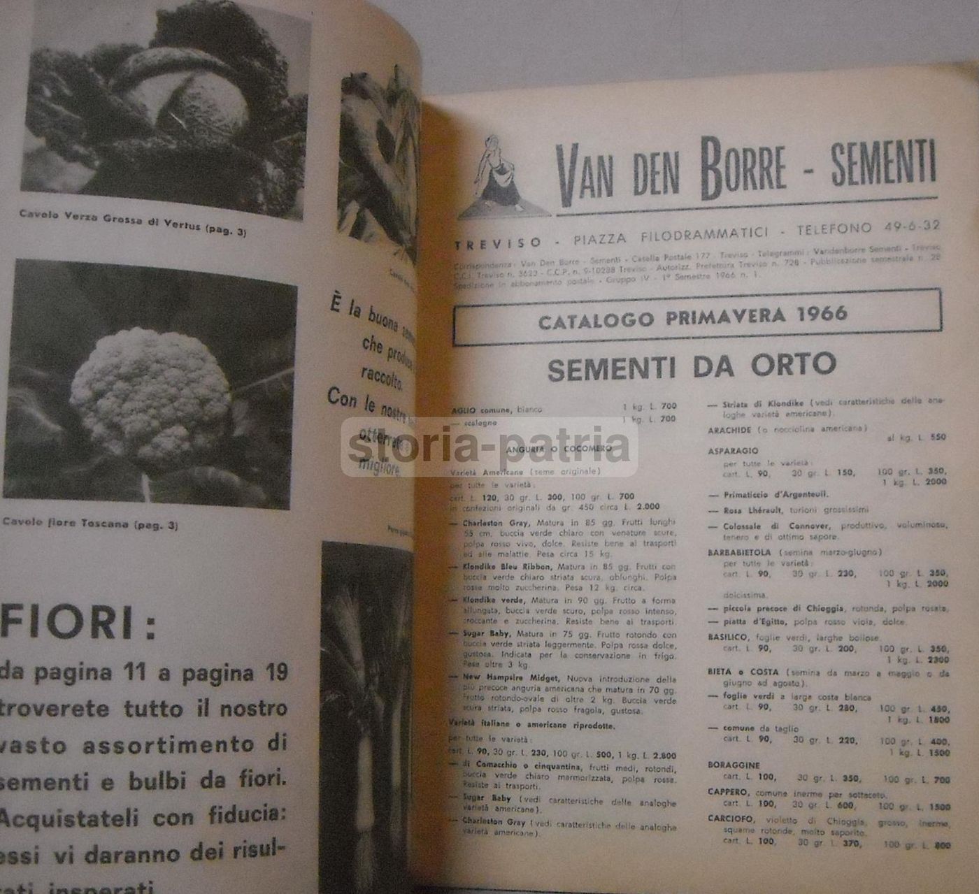 Catalogo Van Den Borre Sementi Treviso, Primavera 1966: Ortaggi E Fiori
