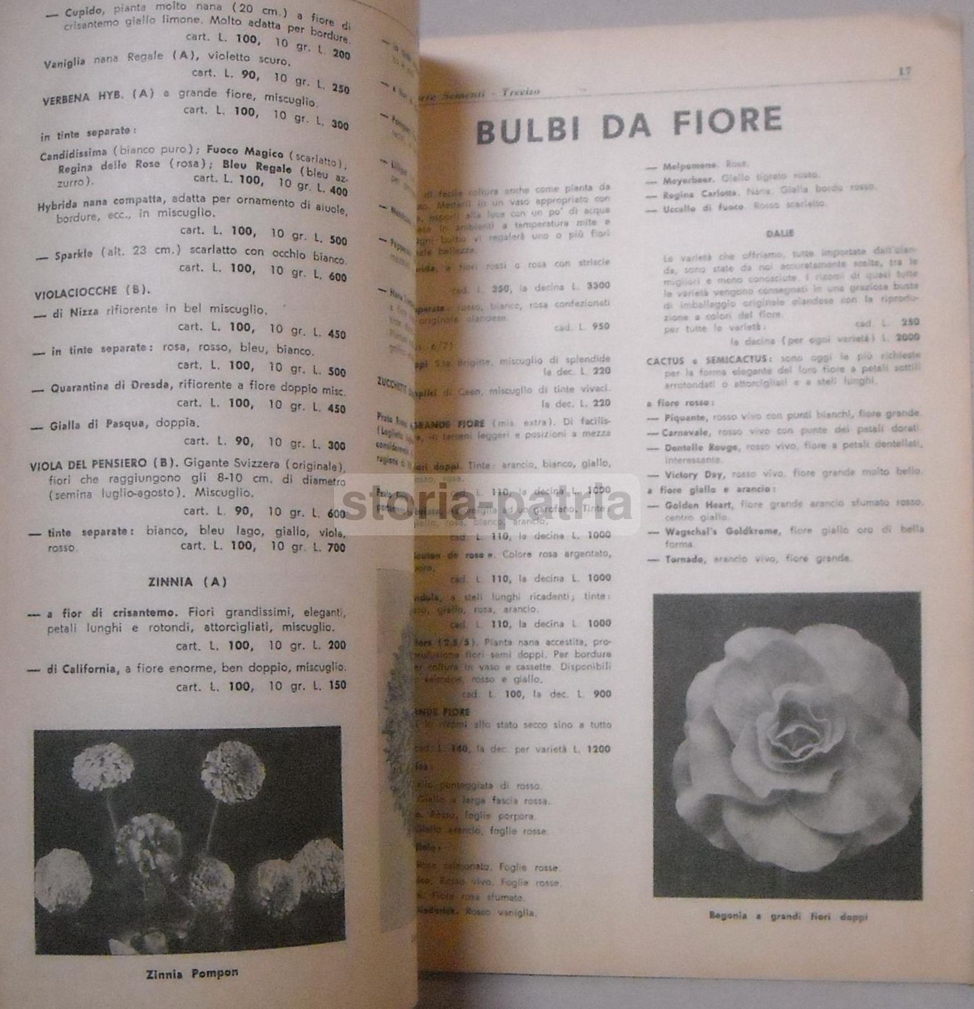 Catalogo Van Den Borre Sementi Treviso, Primavera 1966: Ortaggi E Fiori