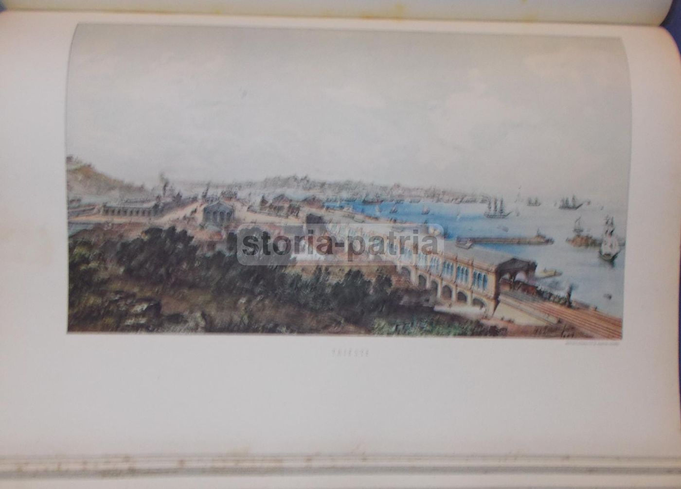 Riunione Adriatica Di Sicurtà 1838 1938 Volume Centenario Trieste
