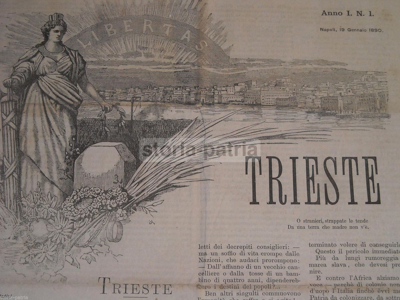 Libertas 1890: Primo Numero, Trieste E L'Irredentismo, Napoli
