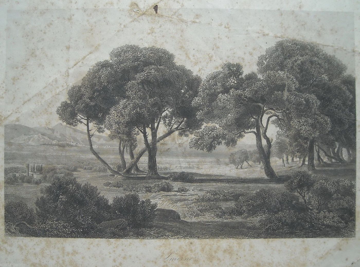 Antica Veduta Di Smirne, Incisione Richter Loffler, Lloyd Trieste, XIX Secolo